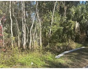0 Collier Blvd, St Augustine, FL 32084