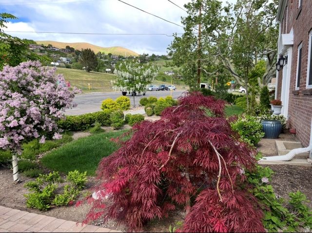 786 E ELEVENTH AVE, Salt Lake City, UT 84103