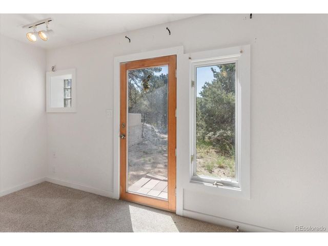 16715 Shadow Ln, Nathrop, CO 81236