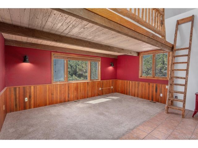 16715 Shadow Ln, Nathrop, CO 81236