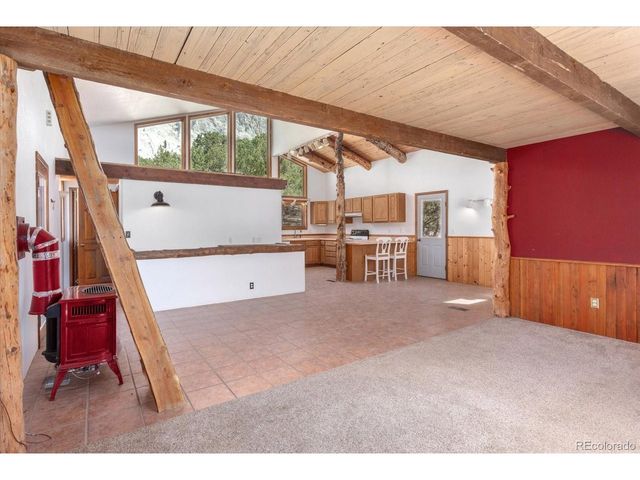 16715 Shadow Ln, Nathrop, CO 81236