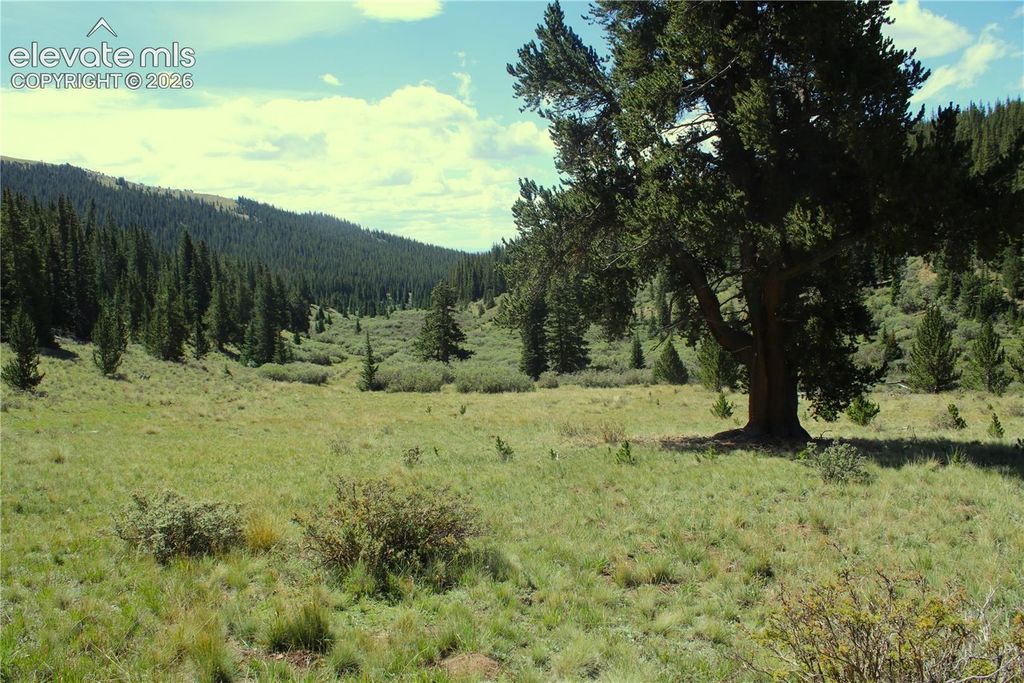 3956 FS 659 Road, Fairplay, CO 80440 — exterior