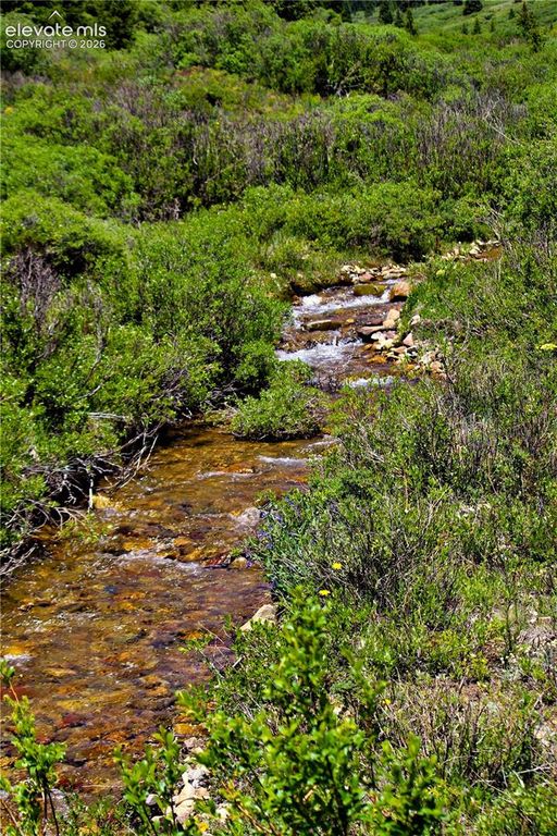 3956 FS 659 Road, Fairplay, CO 80440 — photo 2