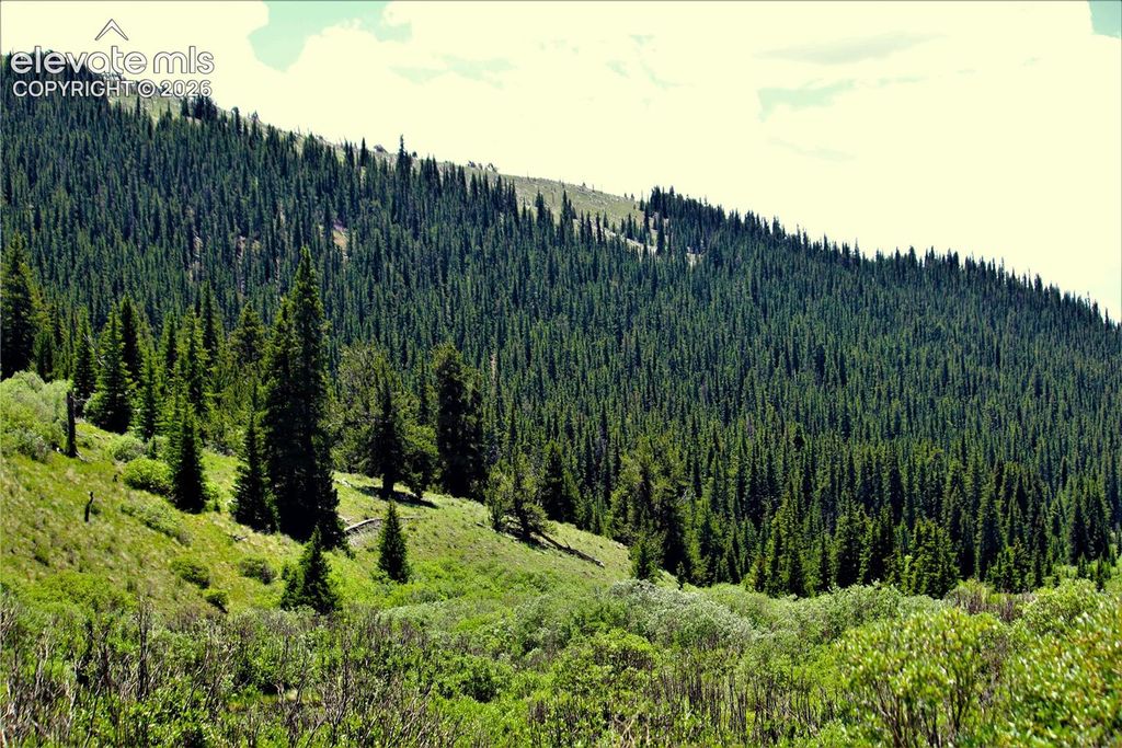 3956 FS 659 Road, Fairplay, CO 80440 — photo 3