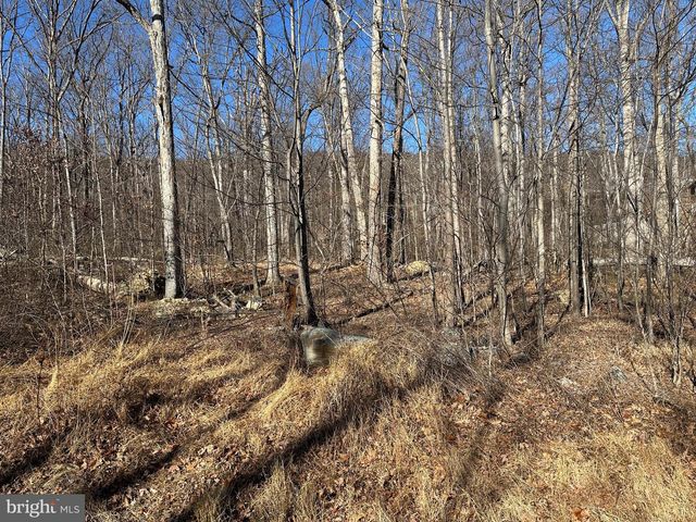 LOT 33 FALCON TRL, Winchester, VA 22602