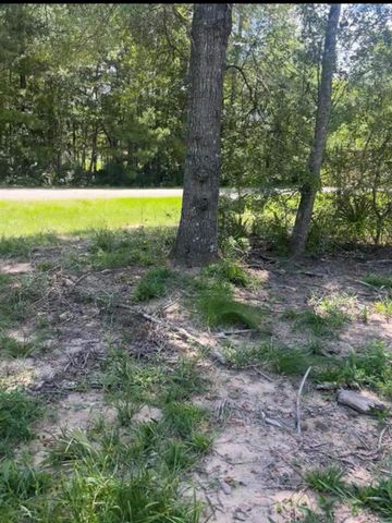 56 Firewood Road, Huntsville, TX 77340