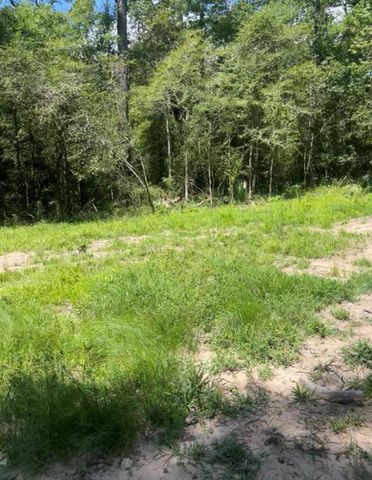 56 Firewood Road, Huntsville, TX 77340