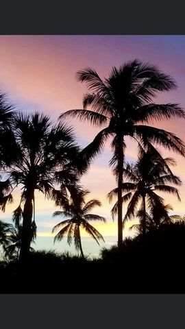 1225 Carlton Court 202, Fort Pierce, FL 34949