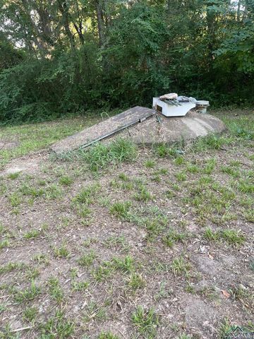 1203 Coffey St, Daingerfield, TX 75638