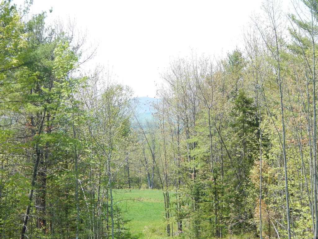 592 Maple Ridge Road, Harrison, ME 04040 — photo 4