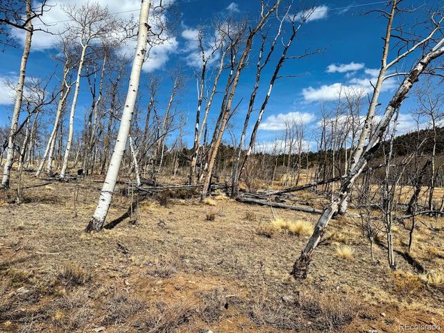 457 Caracara Lane, Jefferson, CO 80456