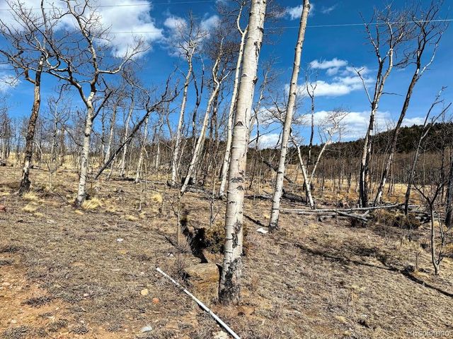 457 Caracara Lane, Jefferson, CO 80456