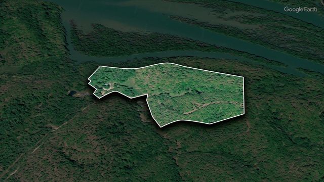 1343 Chalk Hollow Ln, Waverly, TN 37185