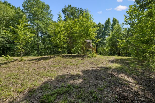 1343 Chalk Hollow Ln, Waverly, TN 37185