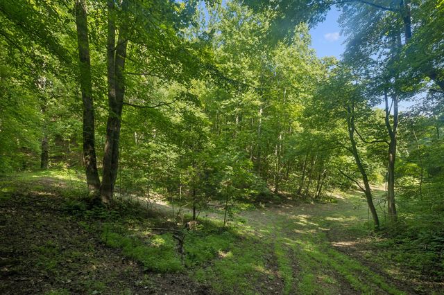 1343 Chalk Hollow Ln, Waverly, TN 37185