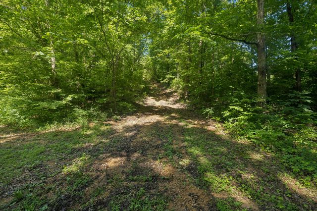1343 Chalk Hollow Ln, Waverly, TN 37185