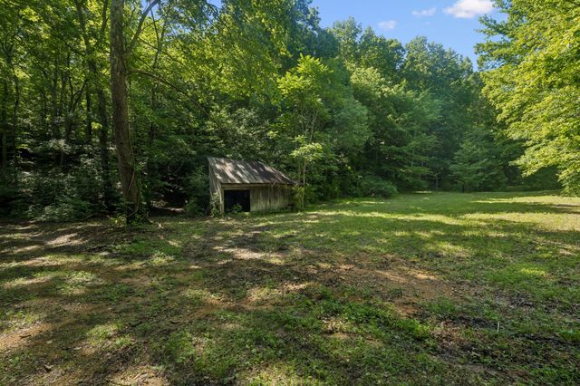 1343 Chalk Hollow Ln, Waverly, TN 37185