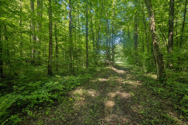 1343 Chalk Hollow Ln, Waverly, TN 37185