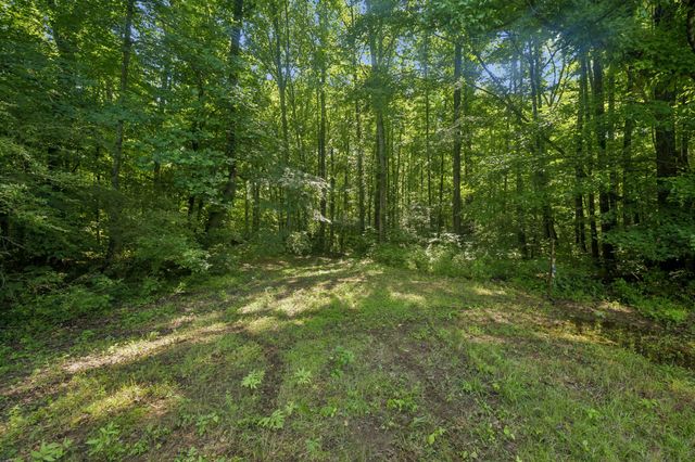 1343 Chalk Hollow Ln, Waverly, TN 37185