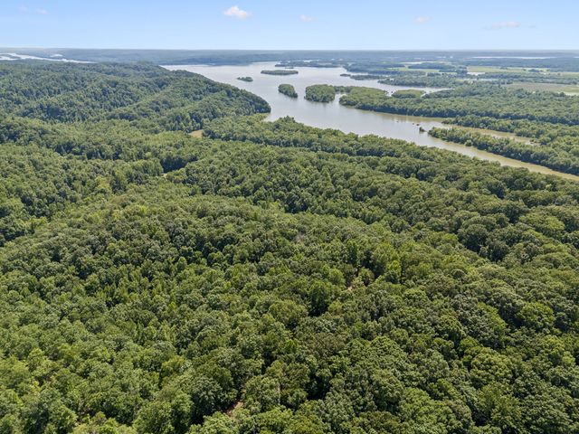 1343 Chalk Hollow Ln, Waverly, TN 37185