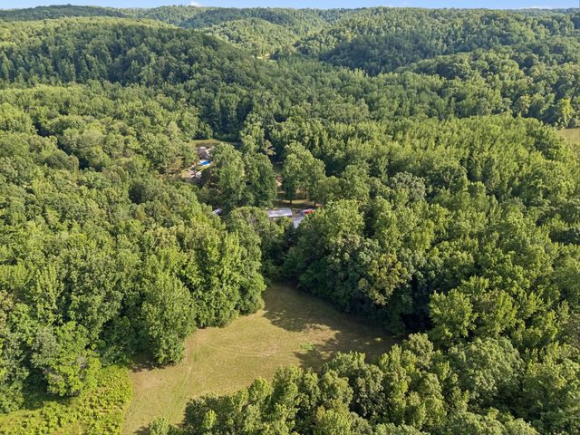 1343 Chalk Hollow Ln, Waverly, TN 37185