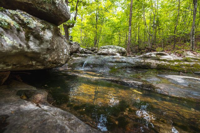 20623 W Ashley Creek Road, Raymondville, MO 65555