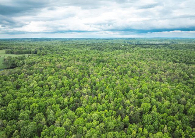 20623 W Ashley Creek Road, Raymondville, MO 65555