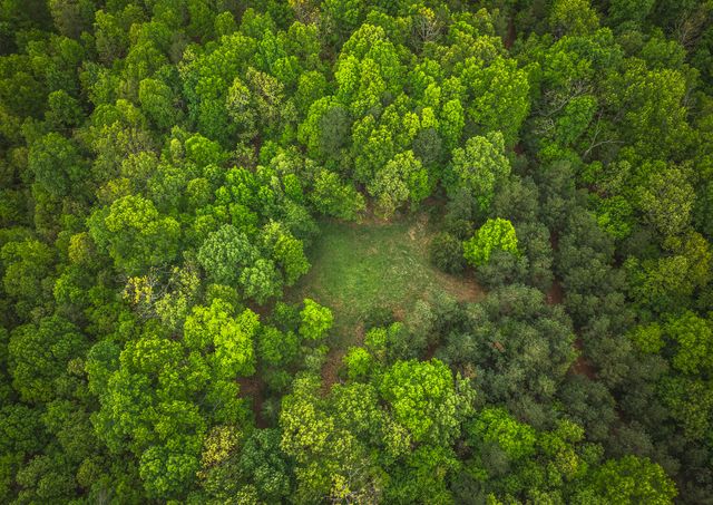 20623 W Ashley Creek Road, Raymondville, MO 65555