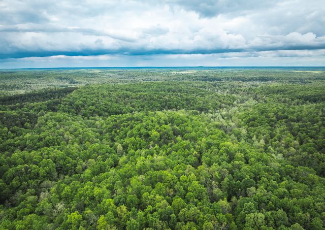 20623 W Ashley Creek Road, Raymondville, MO 65555