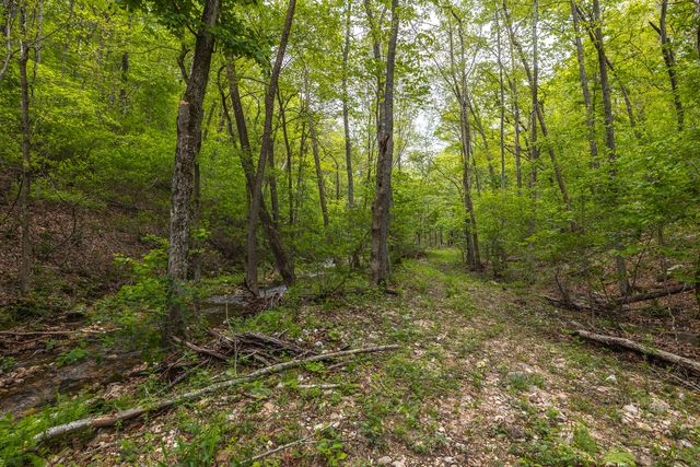 20623 W Ashley Creek Road, Raymondville, MO 65555