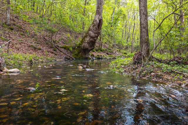 20623 W Ashley Creek Road, Raymondville, MO 65555