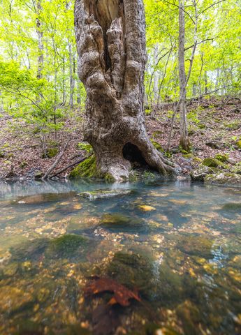 20623 W Ashley Creek Road, Raymondville, MO 65555