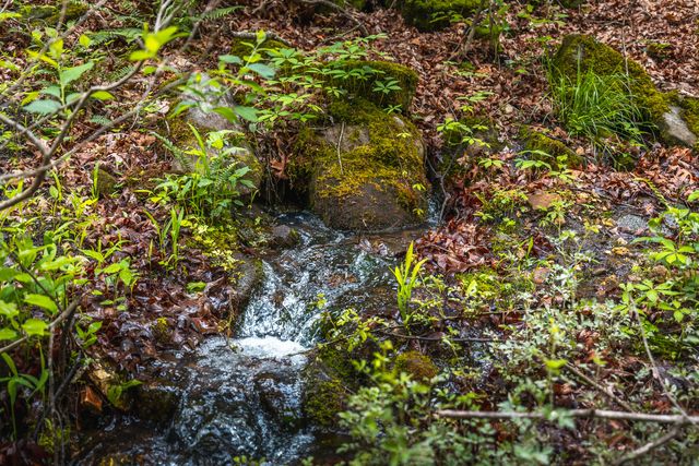 20623 W Ashley Creek Road, Raymondville, MO 65555