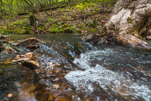 20623 W Ashley Creek Road, Raymondville, MO 65555