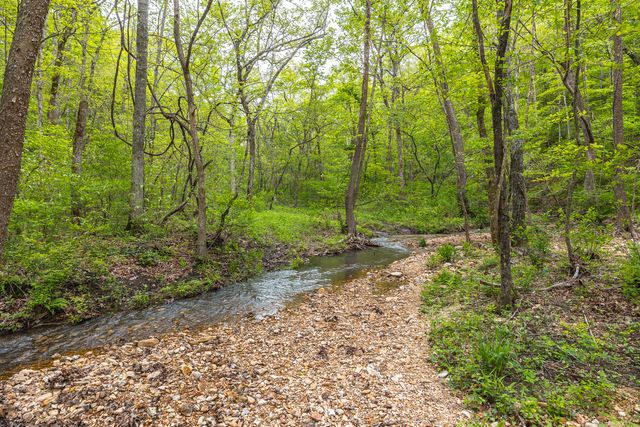 20623 W Ashley Creek Road, Raymondville, MO 65555