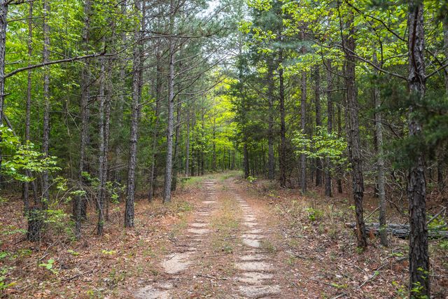 20623 W Ashley Creek Road, Raymondville, MO 65555