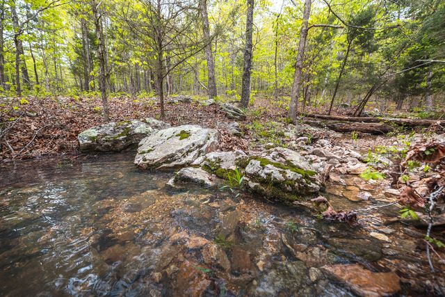 20623 W Ashley Creek Road, Raymondville, MO 65555