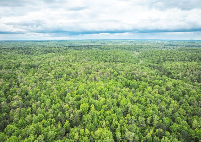 20623 W Ashley Creek Road, Raymondville, MO 65555