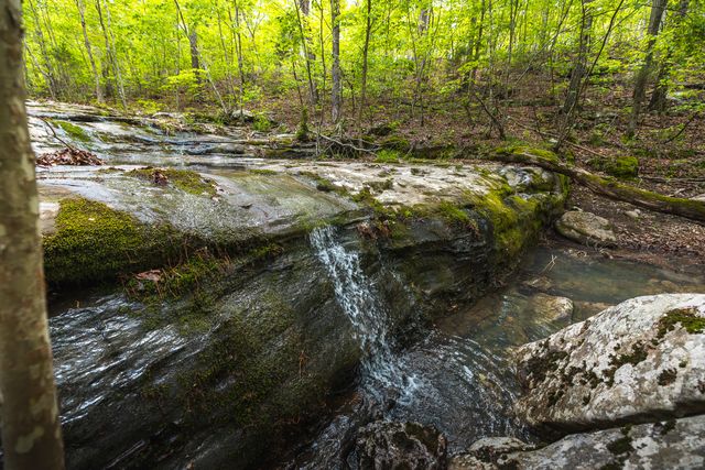 20623 W Ashley Creek Road, Raymondville, MO 65555