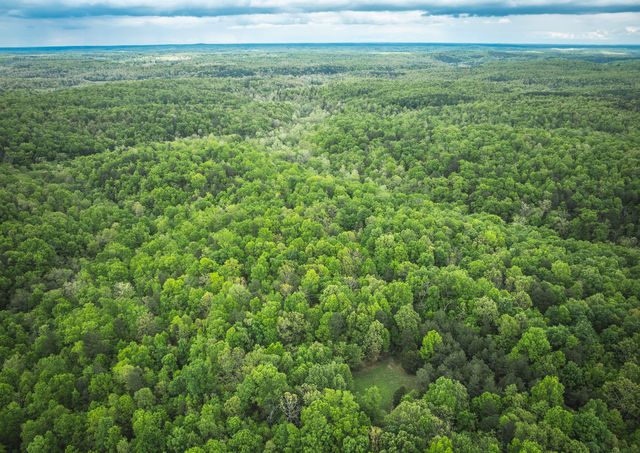 20623 W Ashley Creek Road, Raymondville, MO 65555