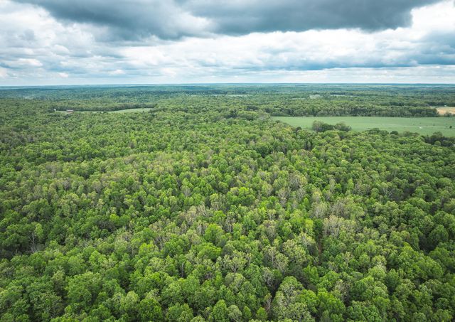 20623 W Ashley Creek Road, Raymondville, MO 65555