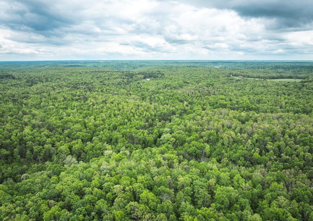 20623 W Ashley Creek Road, Raymondville, MO 65555