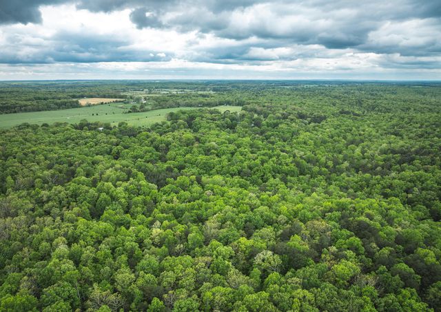 20623 W Ashley Creek Road, Raymondville, MO 65555