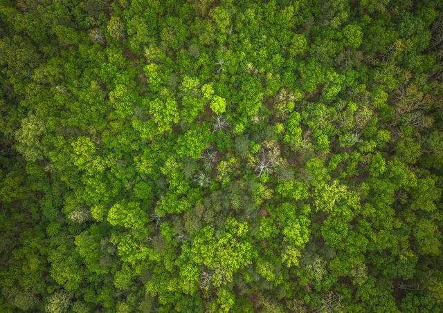 20623 W Ashley Creek Road, Raymondville, MO 65555