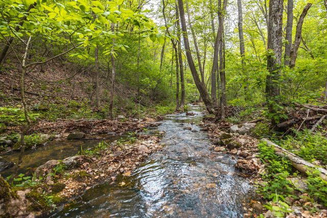 20623 W Ashley Creek Road, Raymondville, MO 65555