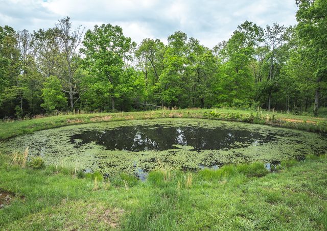 20623 W Ashley Creek Road, Raymondville, MO 65555