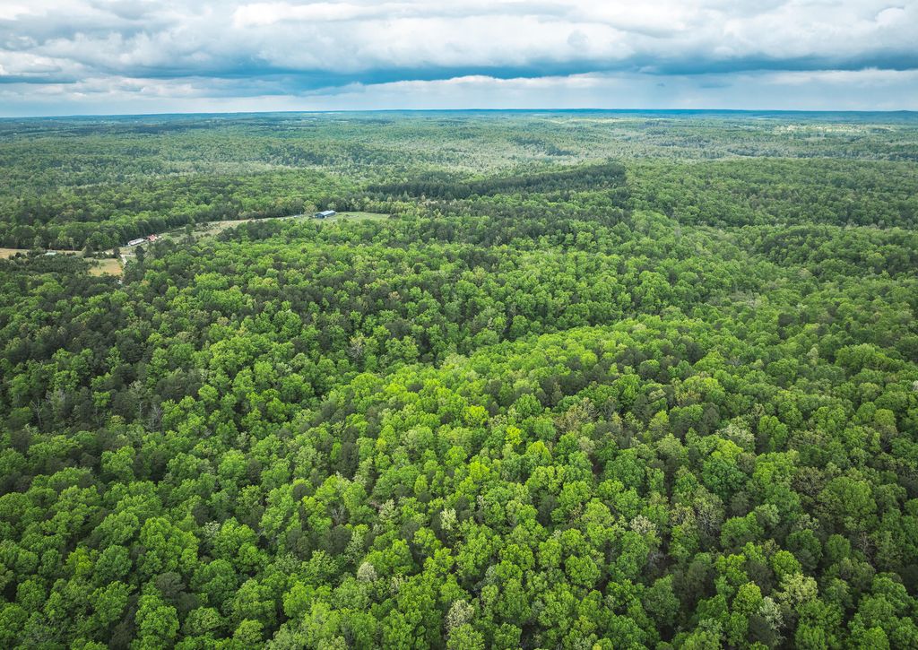 20623 W Ashley Creek Road, Raymondville, MO 65555