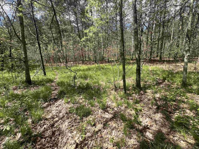 391 16th Avenue, Nekoosa, WI 54457
