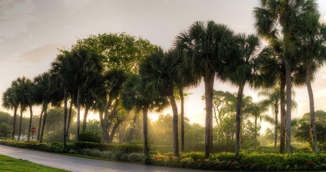 20010 Sawgrass Lane 4304, Boca Raton, FL 33434