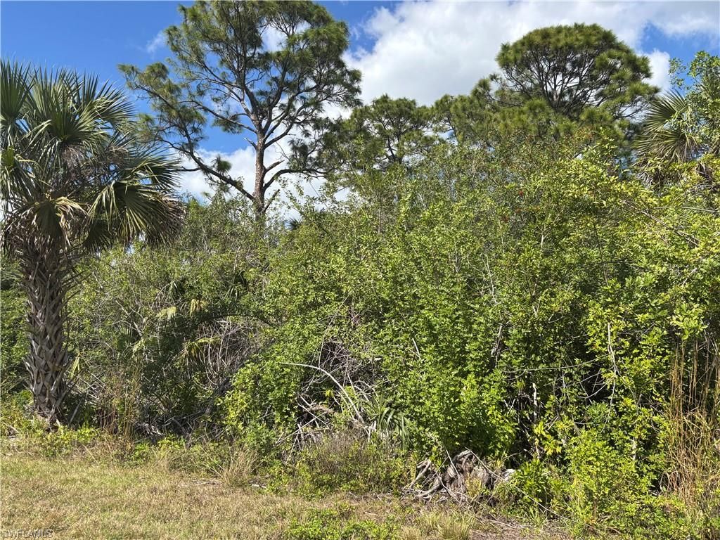 41617360008 36TH AVE SE, NAPLES, FL 34117 — photo 2